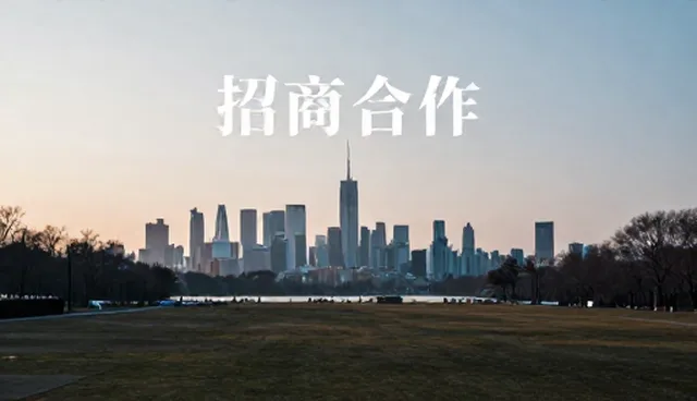 如何高效完成企业名录整合的全流程操作